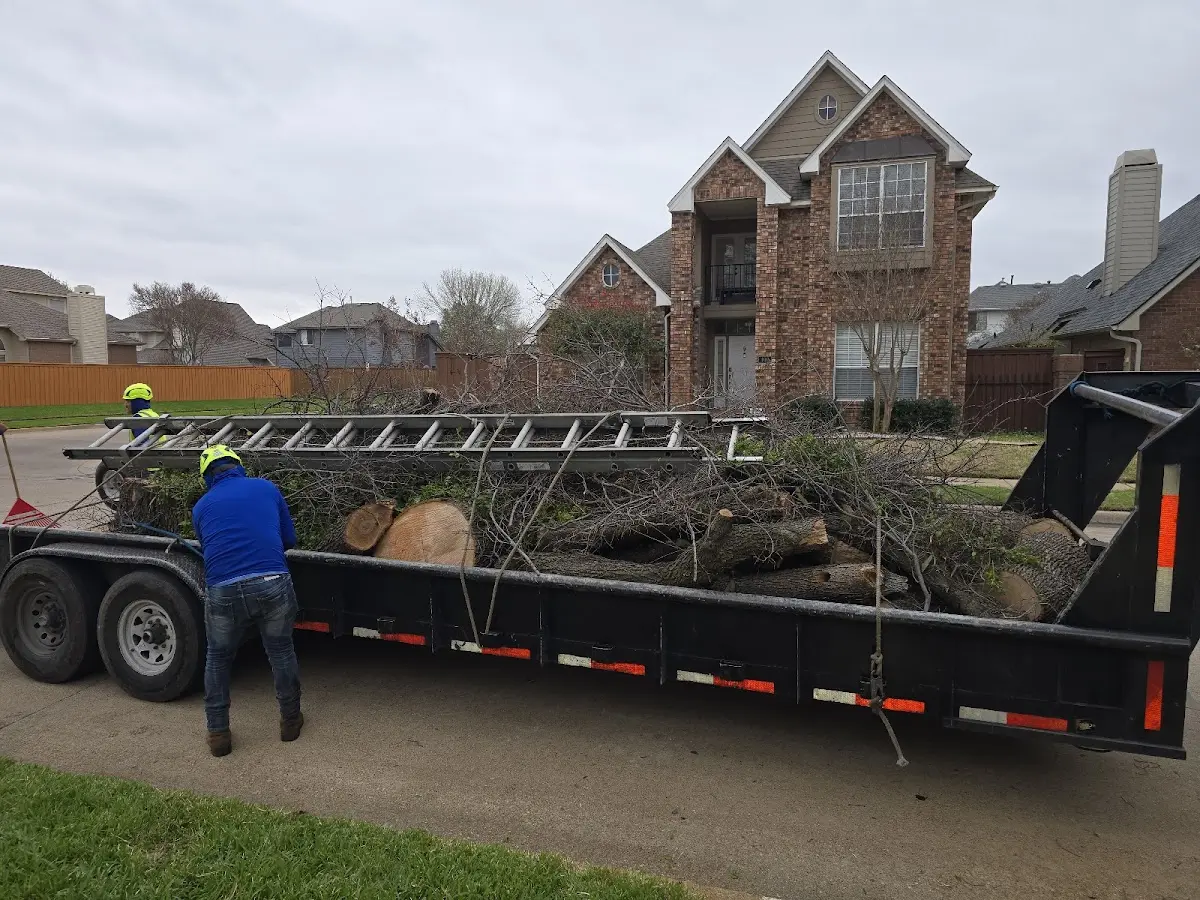 Expert Tree Pest Control with proper safety equipment in Powder Springs